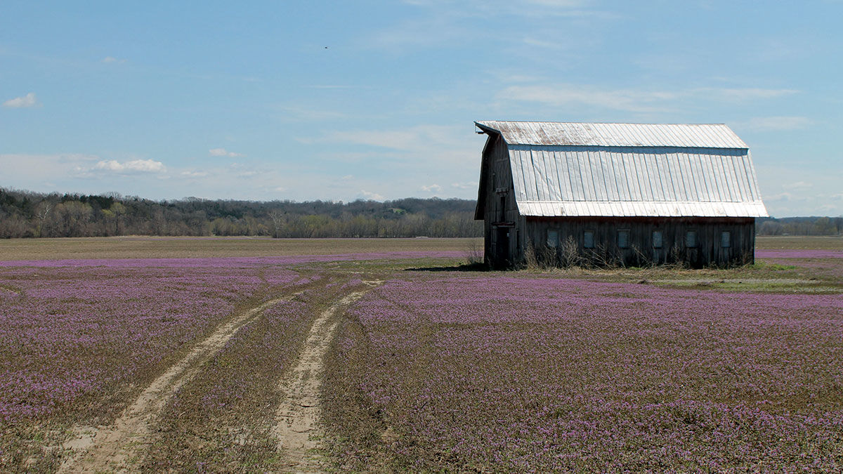 planting season